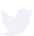 Logo Twitter