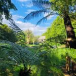 Le Jardin Zen du Quistillic, réinvente l’art de se ressourcer